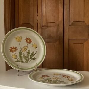 Vintage Country Casual “Sunnyvale” Dinner Plates, Set of 2